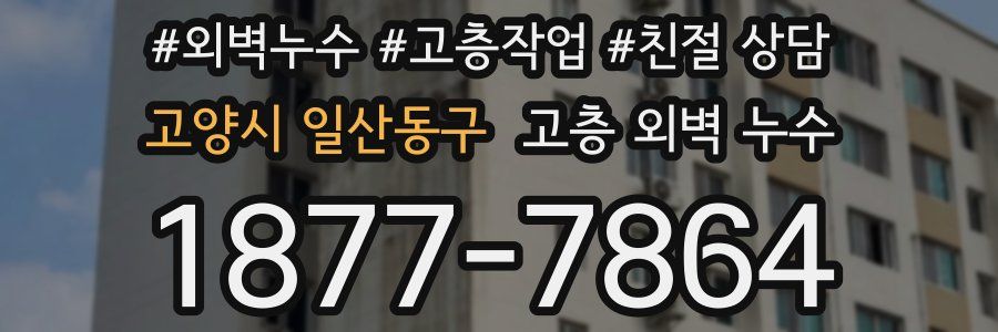 고양시 일산동구 고층 외벽 누수
