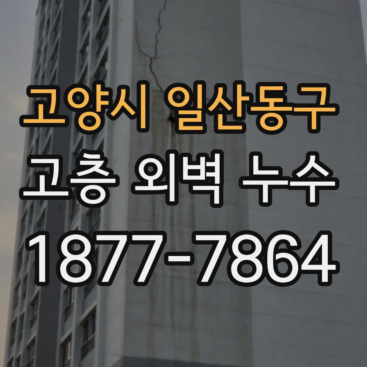 고양시 일산동구 고층 외벽 누수