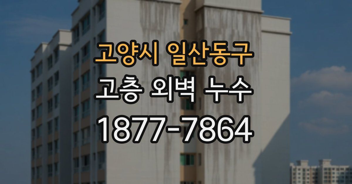 고양시 일산동구 고층 외벽 누수