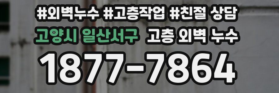 고양시 일산서구 고층 외벽 누수