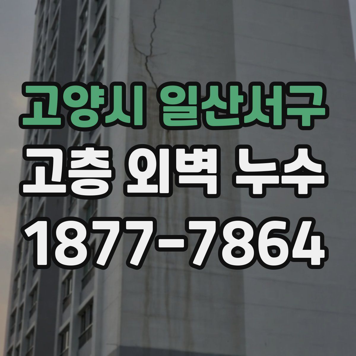 고양시 일산서구 고층 외벽 누수