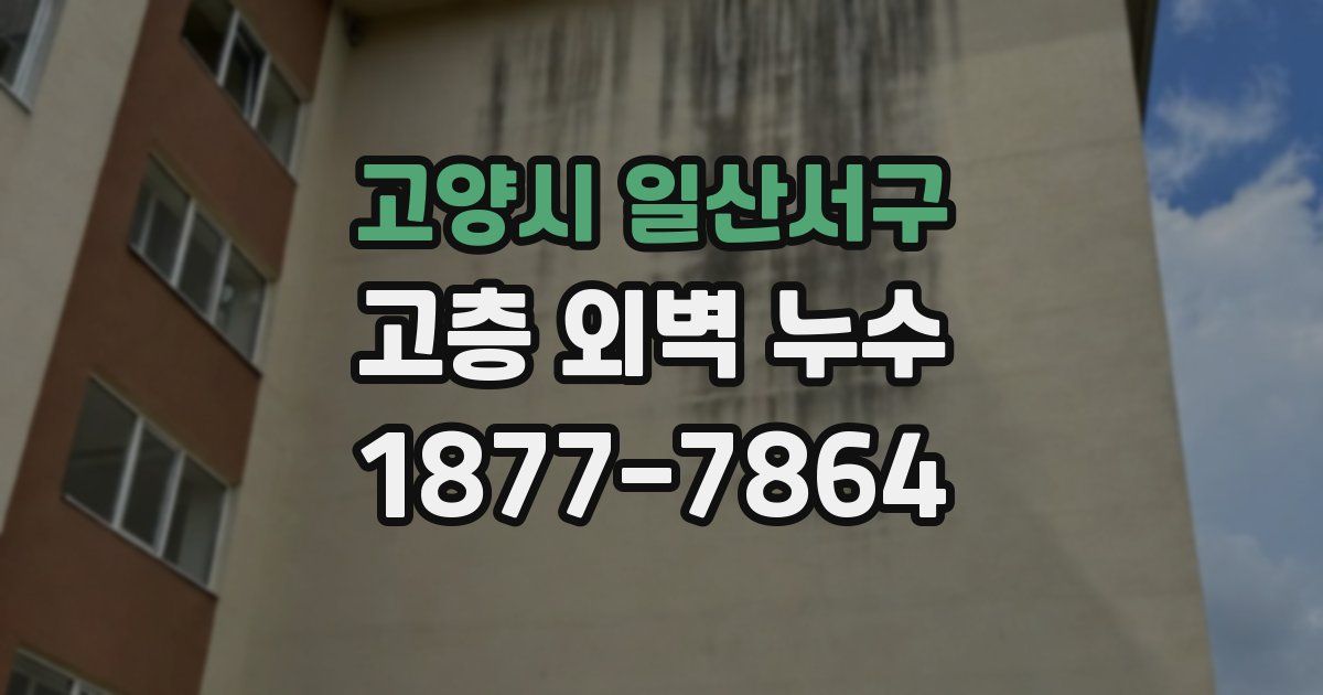 고양시 일산서구 고층 외벽 누수