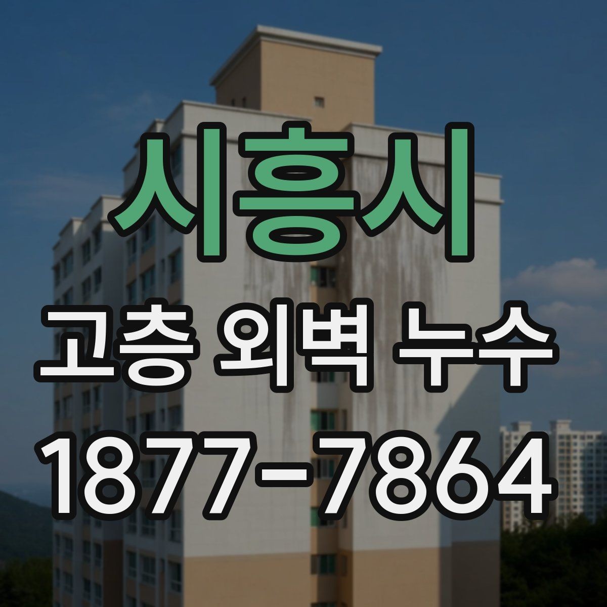 시흥시 고층 외벽 누수 진단 결과를 해석하는 법