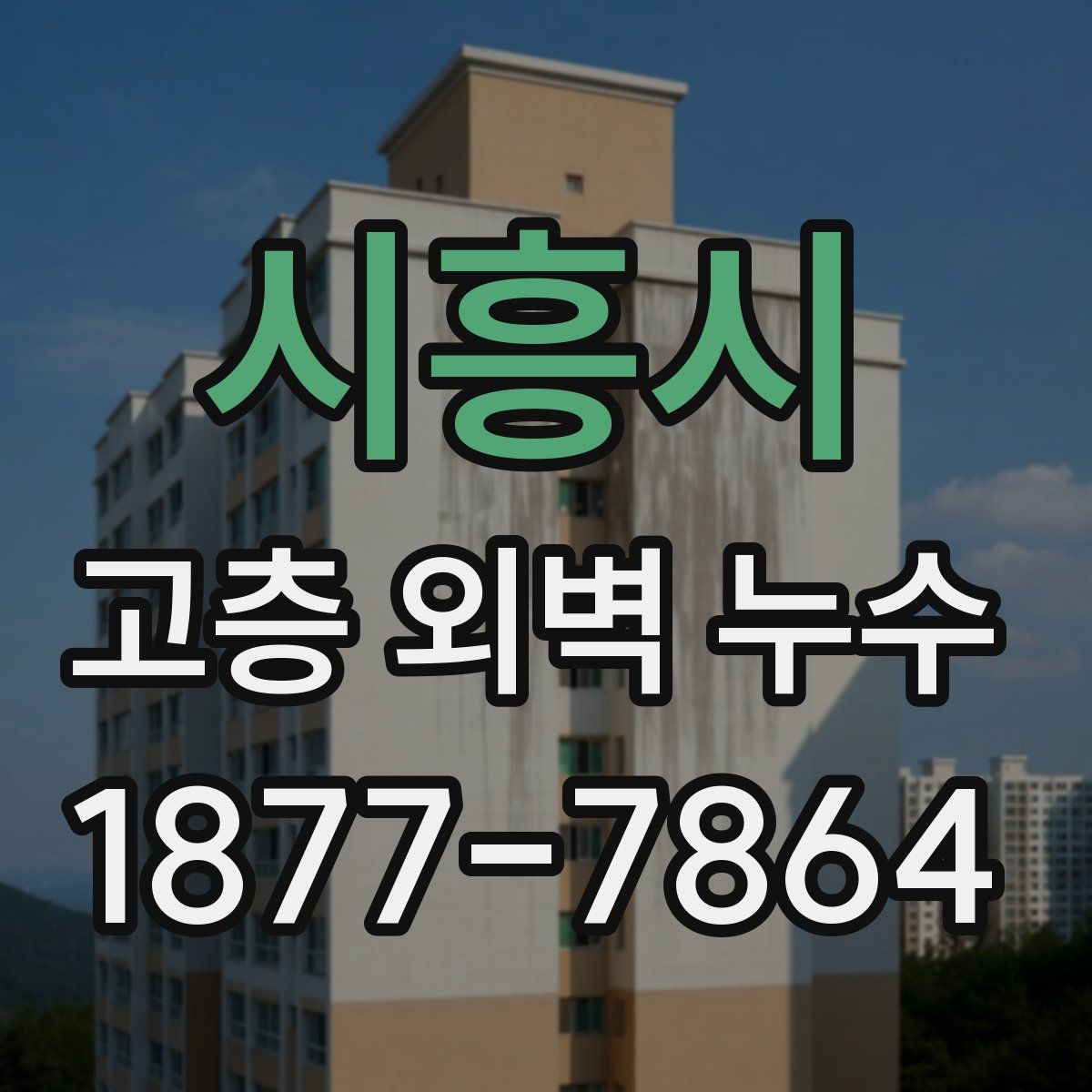 시흥시 고층 외벽 누수
