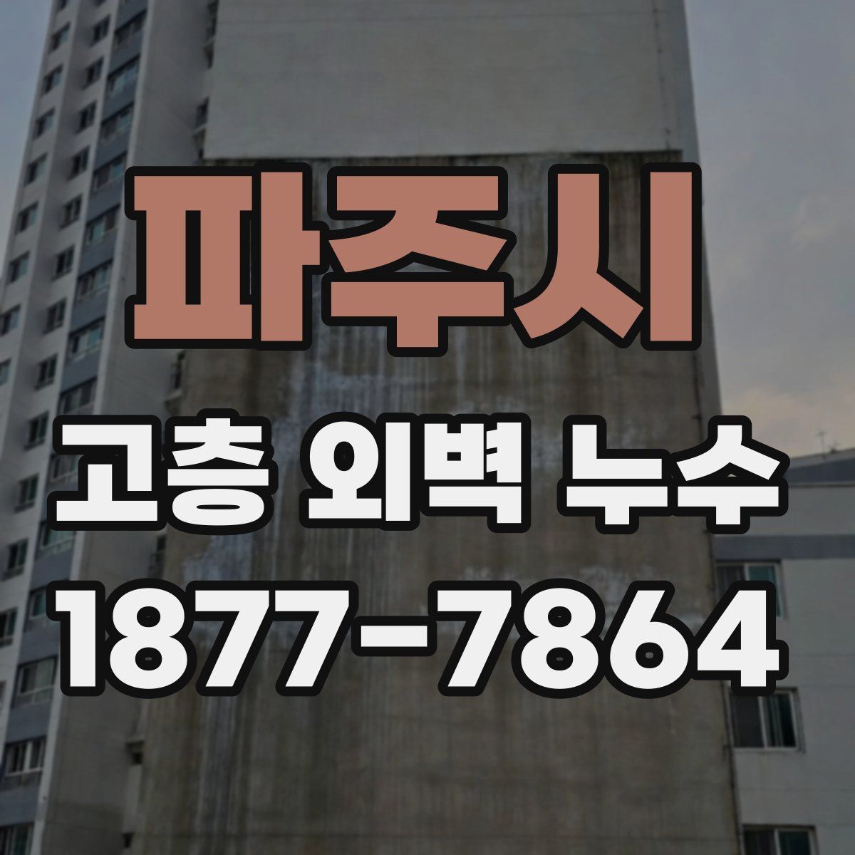 파주시 고층 외벽 누수
