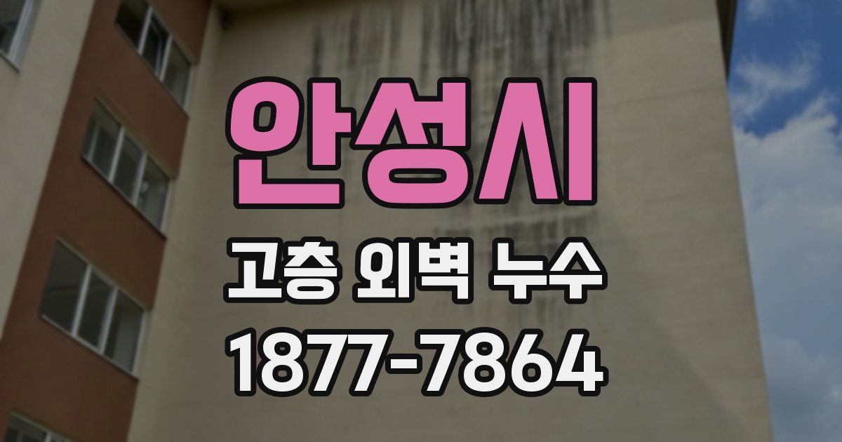 안성시 고층 외벽 누수