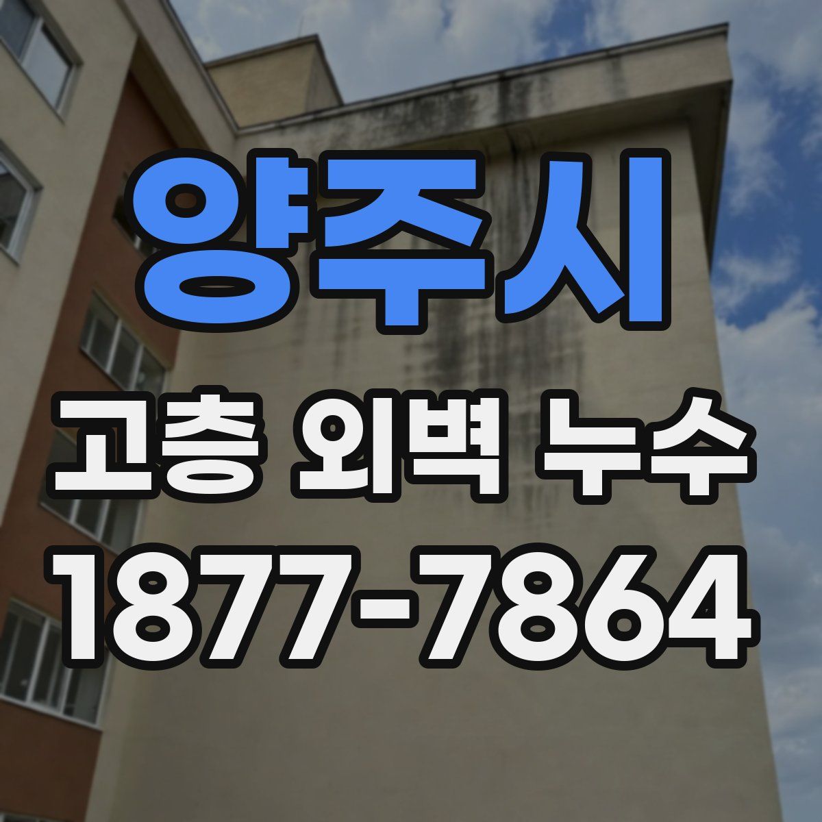 양주시 고층 외벽 누수