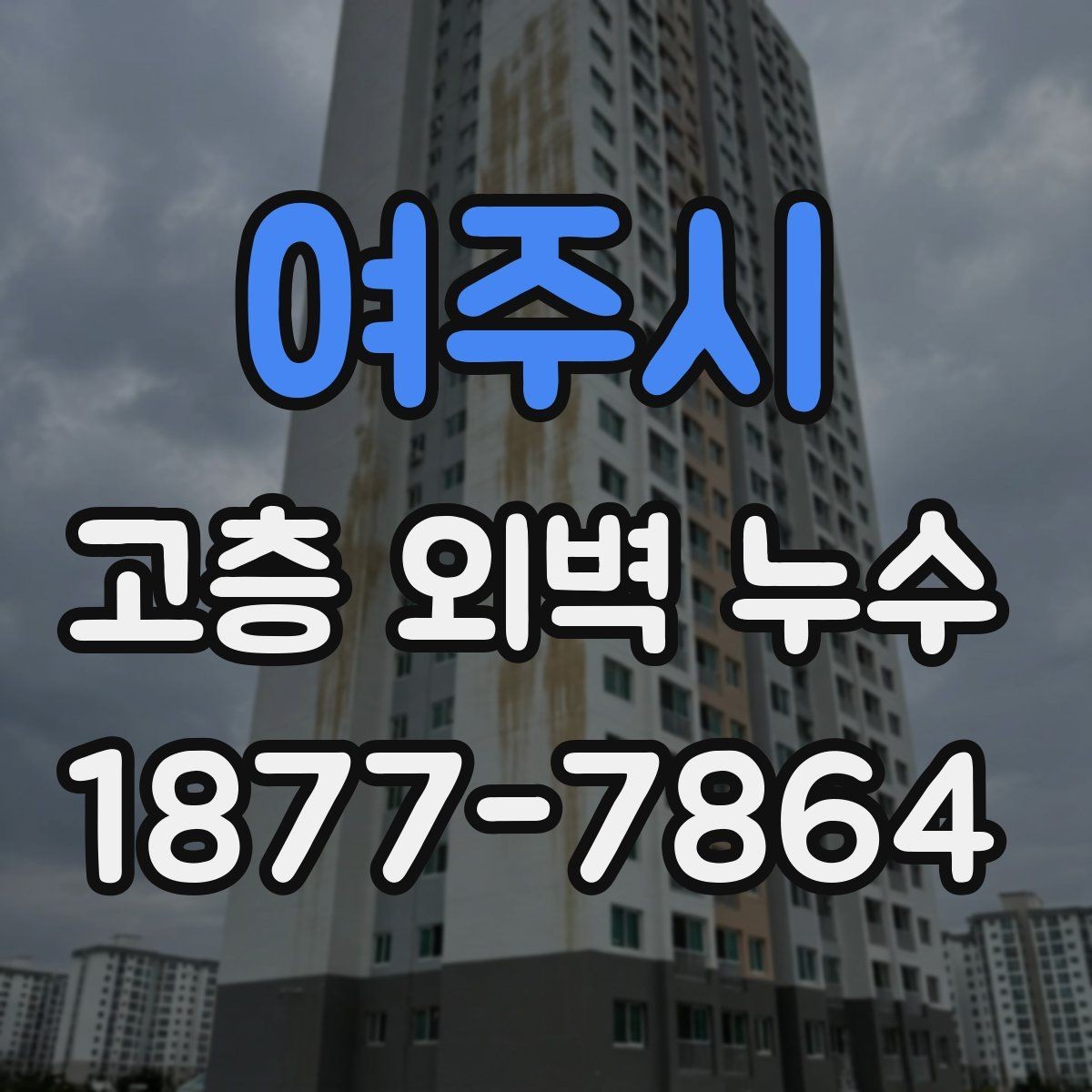 여주시 고층 외벽 누수 마감재 손상 여부 확인하기
