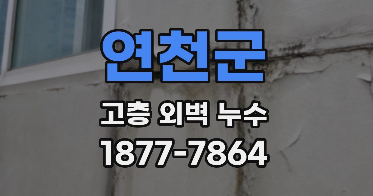 연천군 고층 외벽 누수