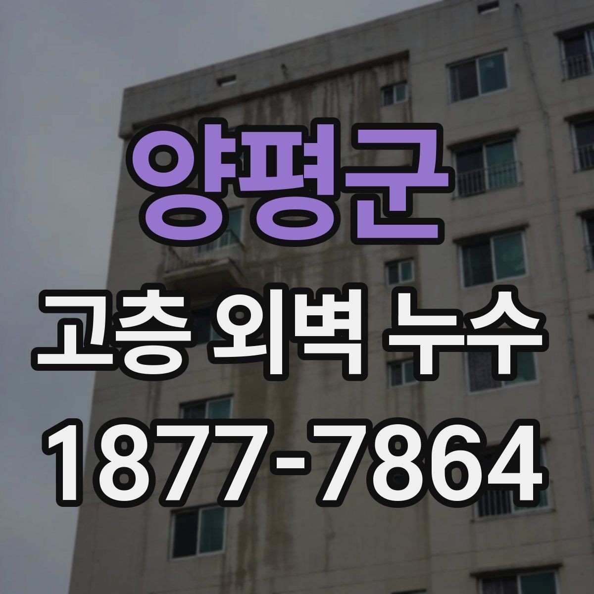 양평군 고층 외벽 누수 점검으로 확인하는 방수 상태