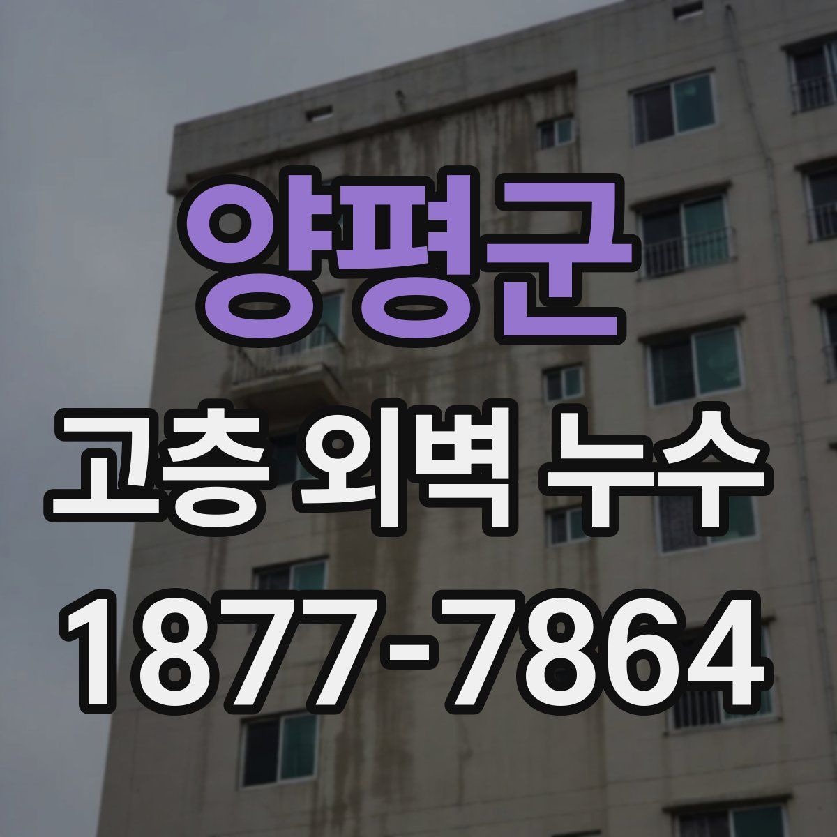 양평군 고층 외벽 누수