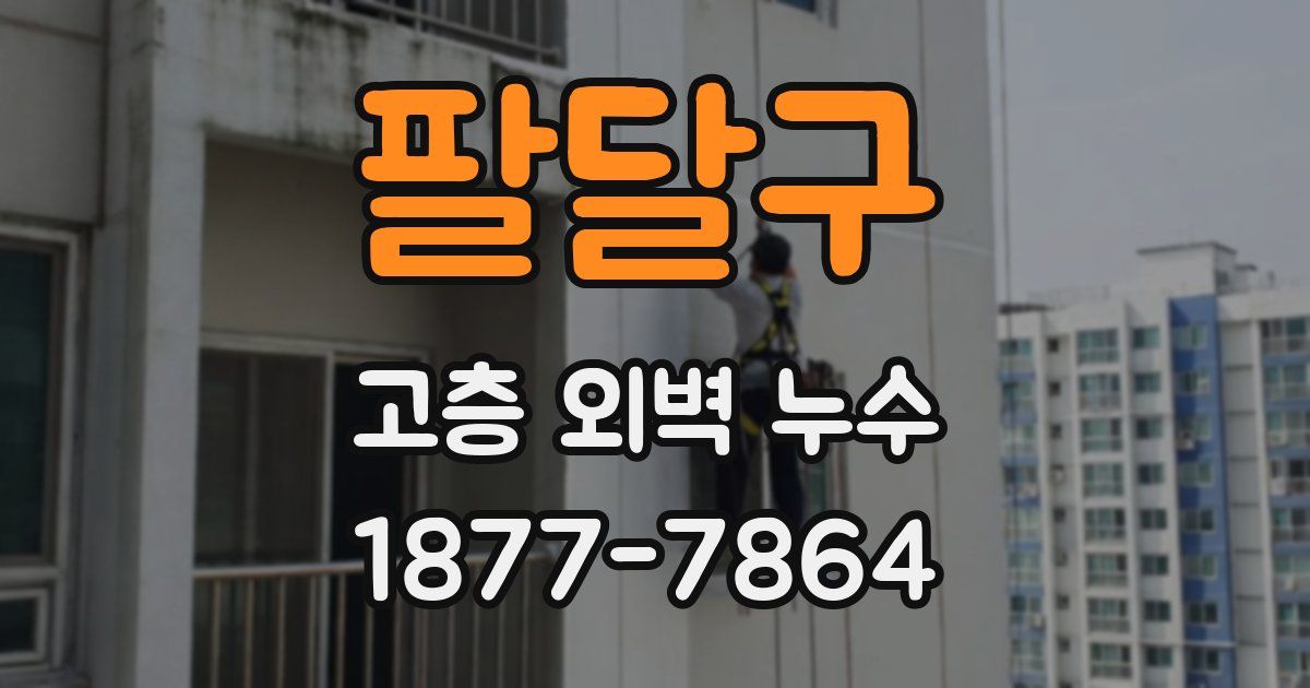 팔달구 고층 외벽 누수
