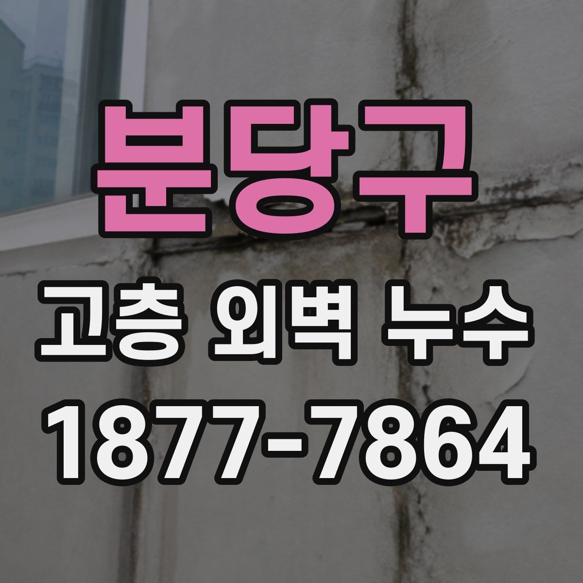 분당구 고층 외벽 누수