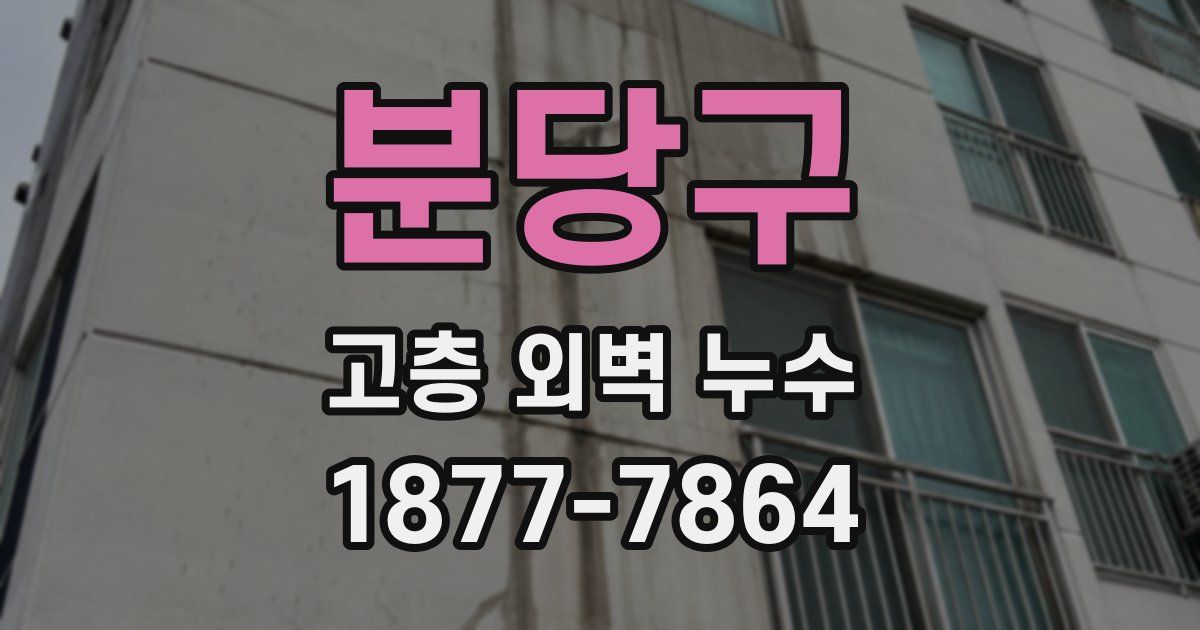 분당구 고층 외벽 누수