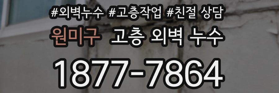 원미구 고층 외벽 누수
