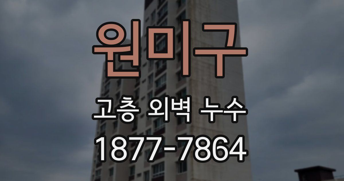 원미구 고층 외벽 누수