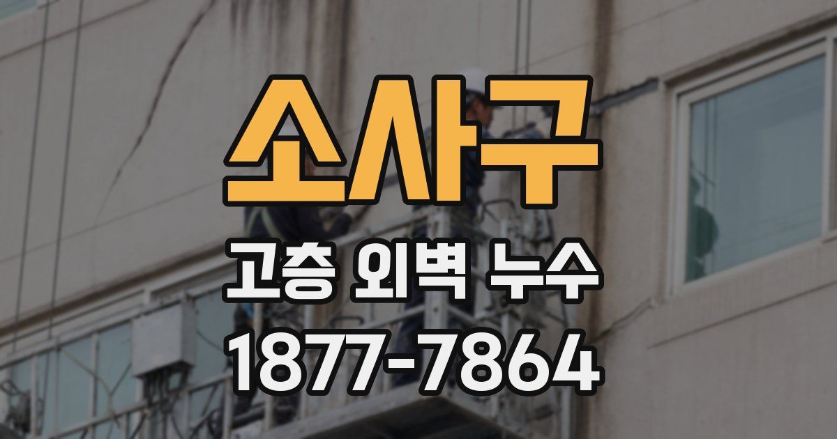 소사구 고층 외벽 누수