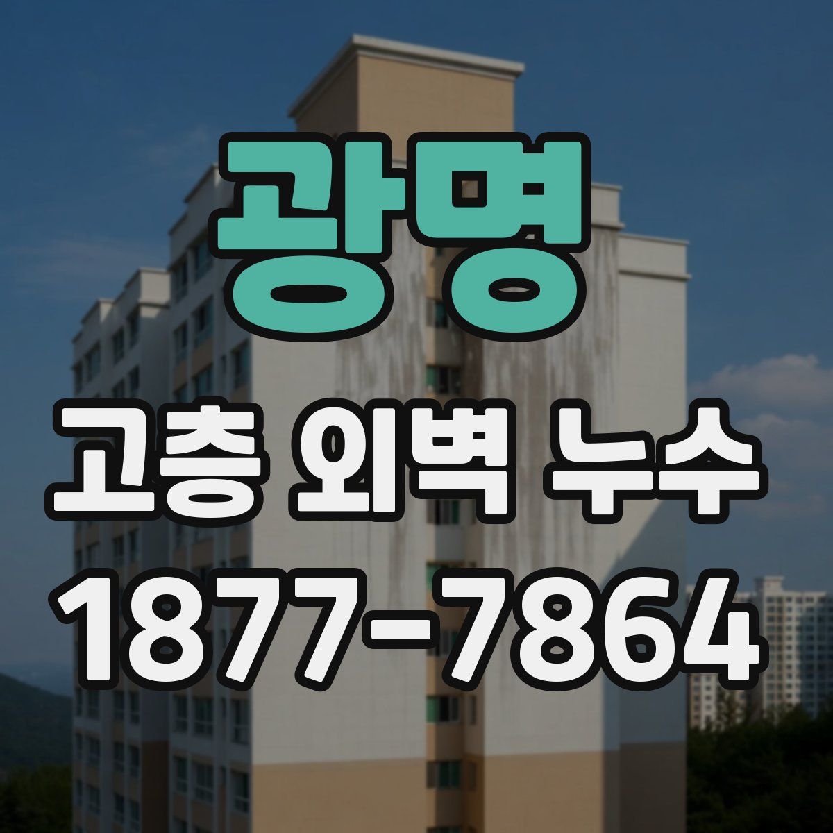 광명 고층 외벽 누수