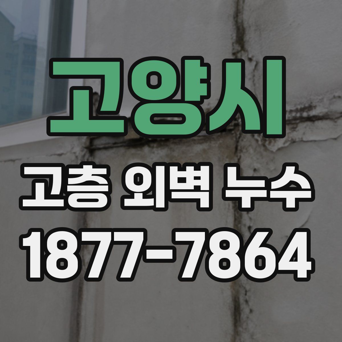 고양시 고층 외벽 누수