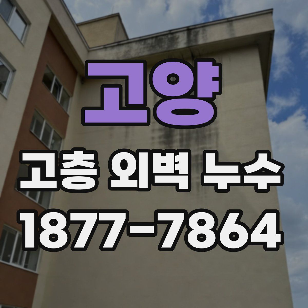 고양 고층 외벽 누수