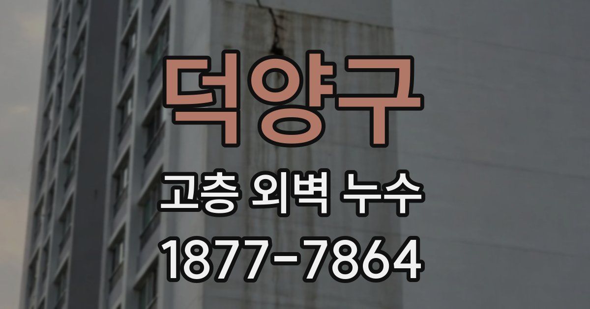 덕양구 고층 외벽 누수