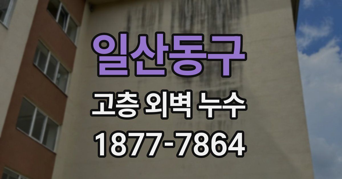일산동구 고층 외벽 누수