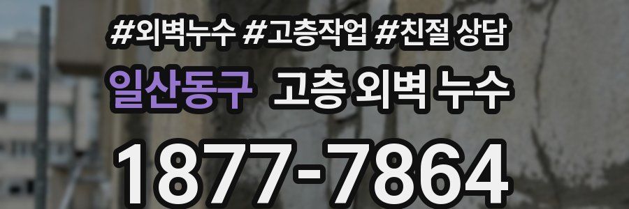 일산동구 고층 외벽 누수