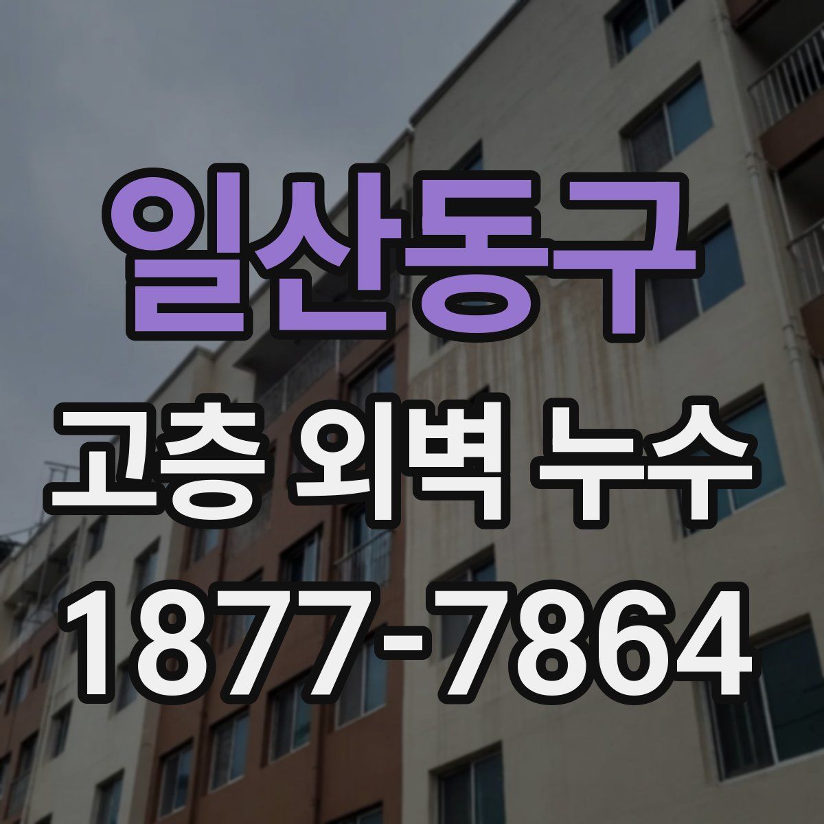 일산동구 고층 외벽 누수