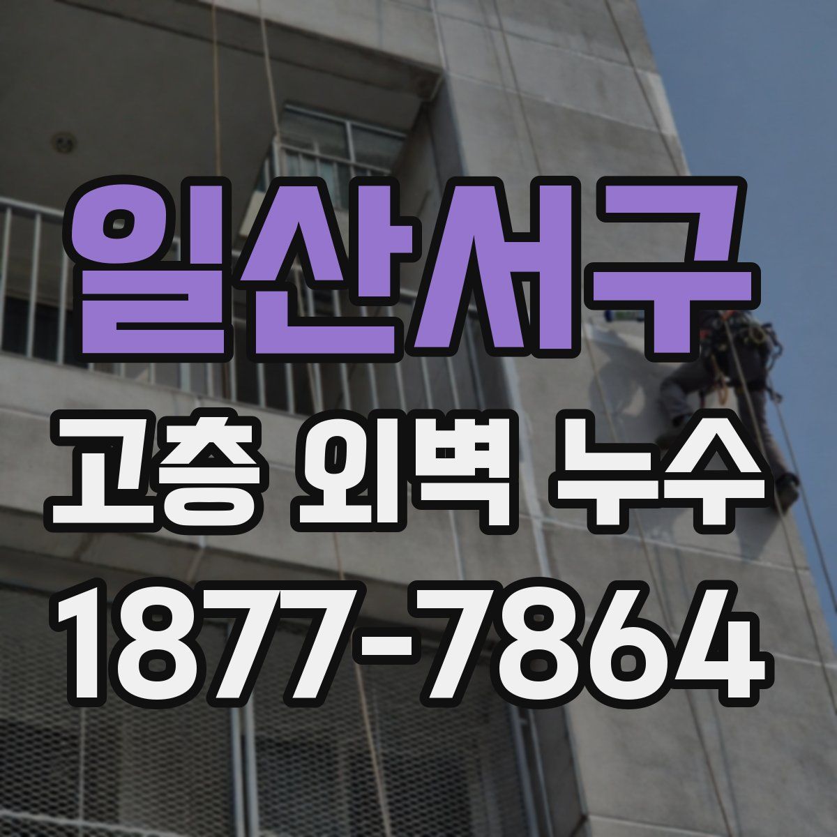 일산서구 고층 외벽 누수