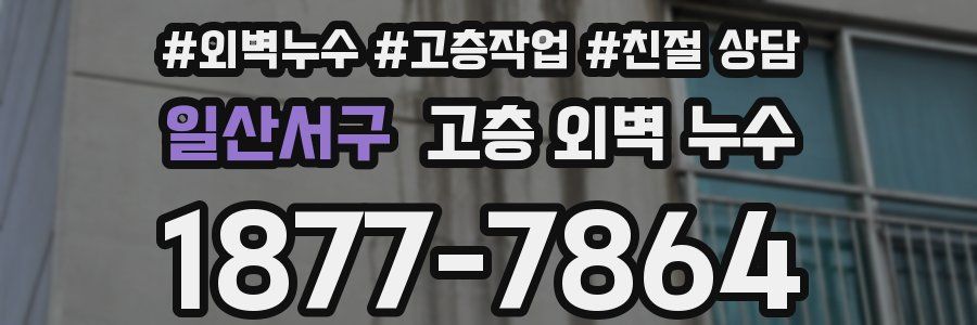 일산서구 고층 외벽 누수