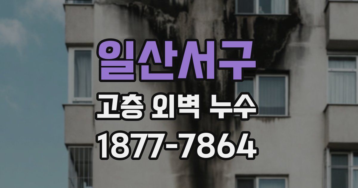 일산서구 고층 외벽 누수