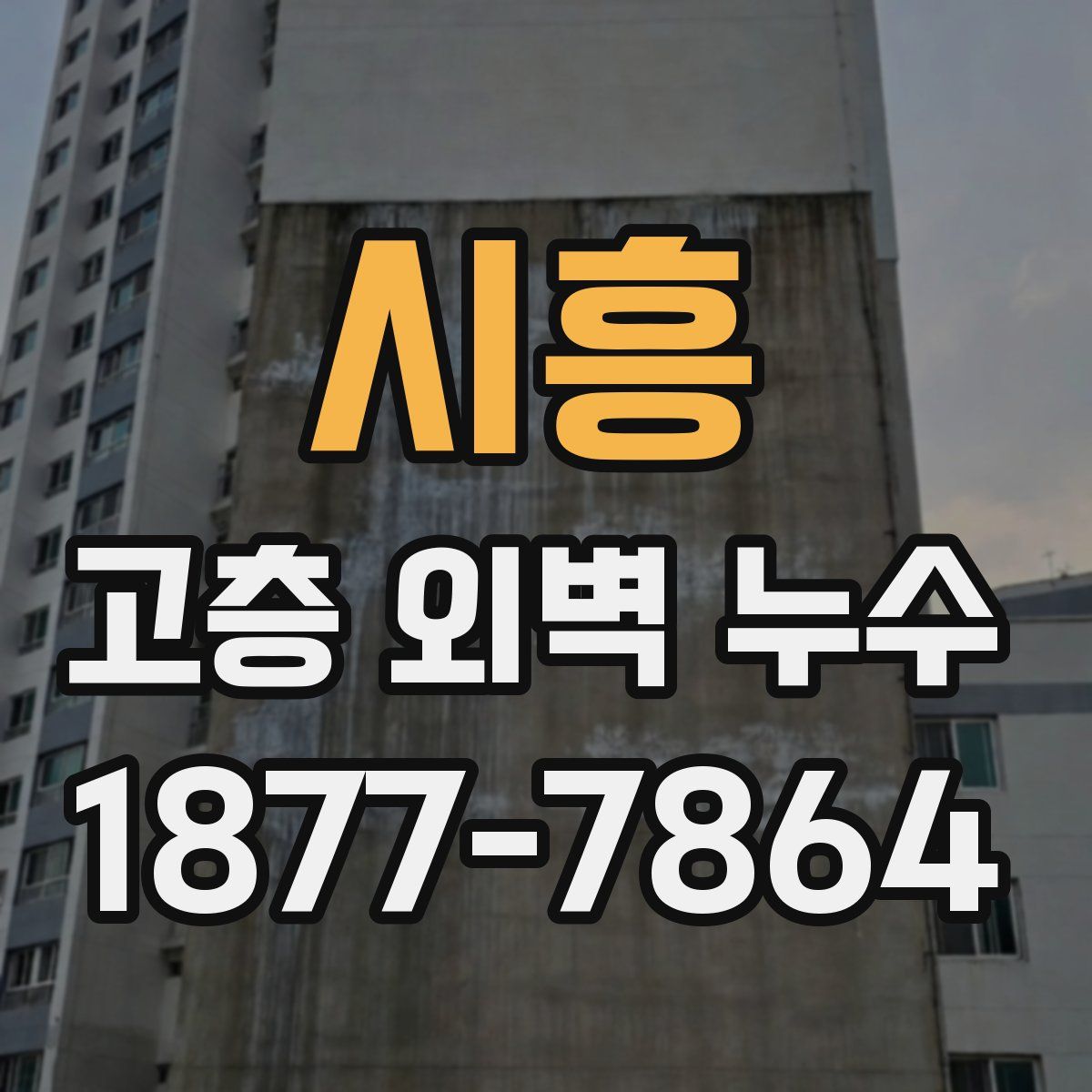 시흥 고층 외벽 누수