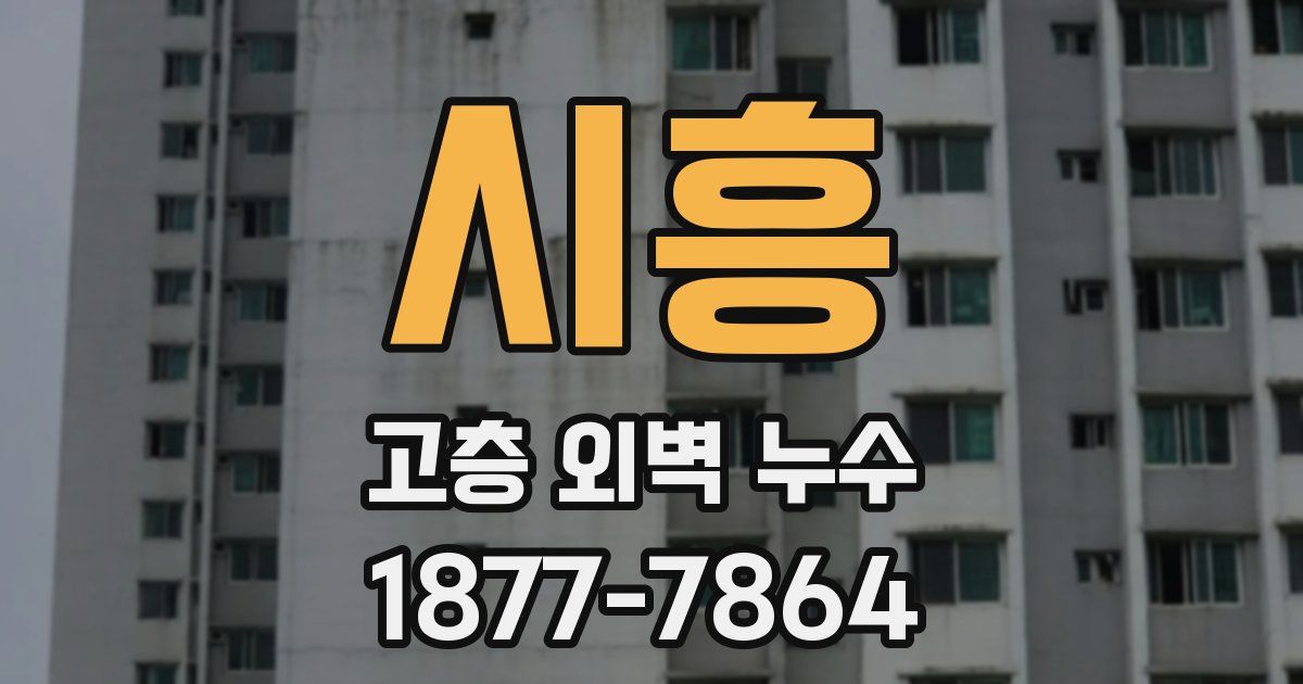 시흥 고층 외벽 누수
