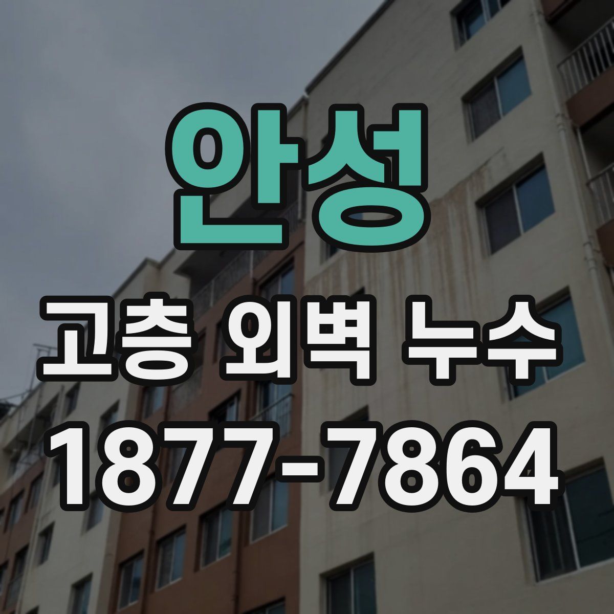 안성 고층 외벽 누수