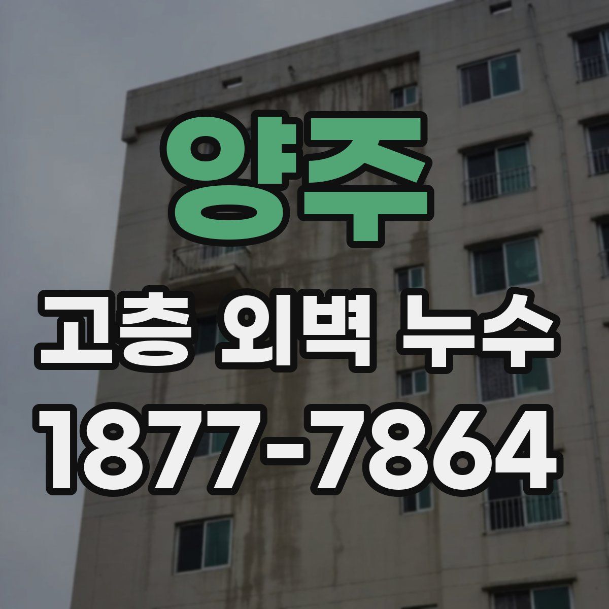 양주 고층 외벽 누수