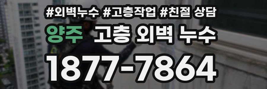 양주 고층 외벽 누수
