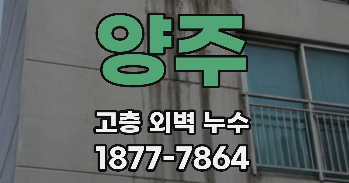 양주 고층 외벽 누수