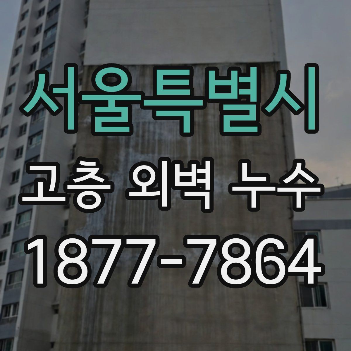 서울특별시 고층 외벽 누수 보수 전후 점검 항목 정리