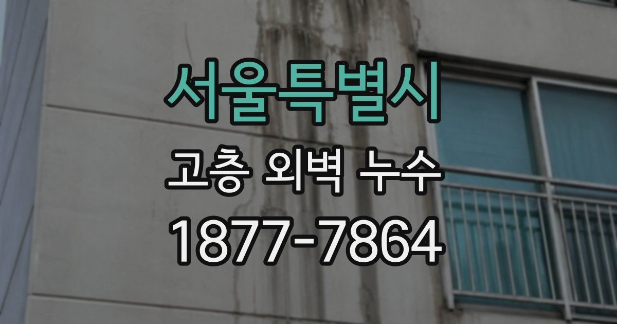 서울특별시 고층 외벽 누수