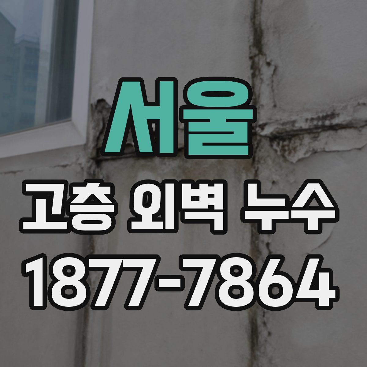 서울 고층 외벽 누수
