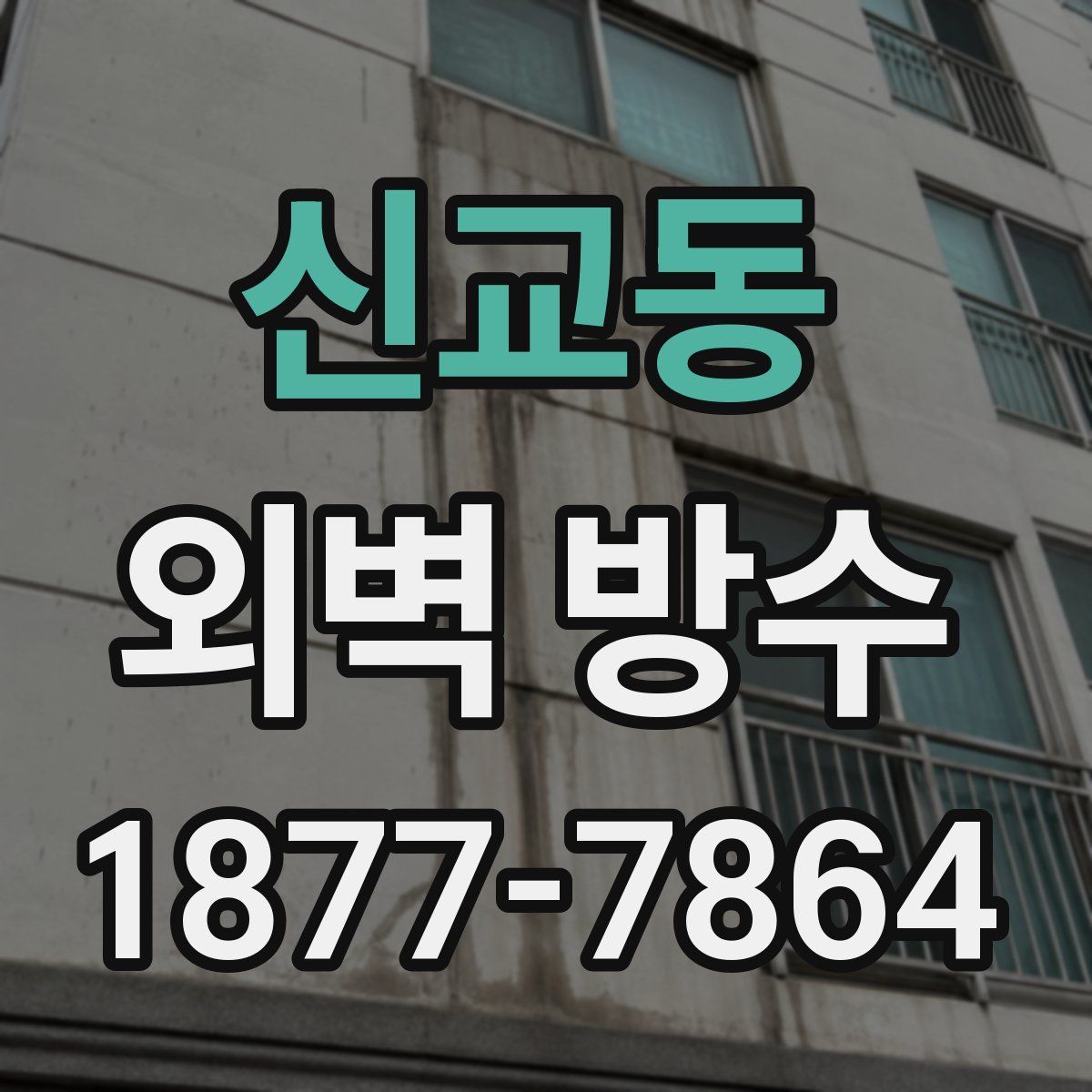 신교동 외벽 방수