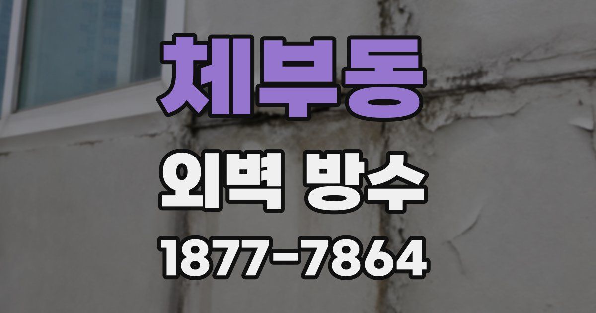 체부동 외벽 방수