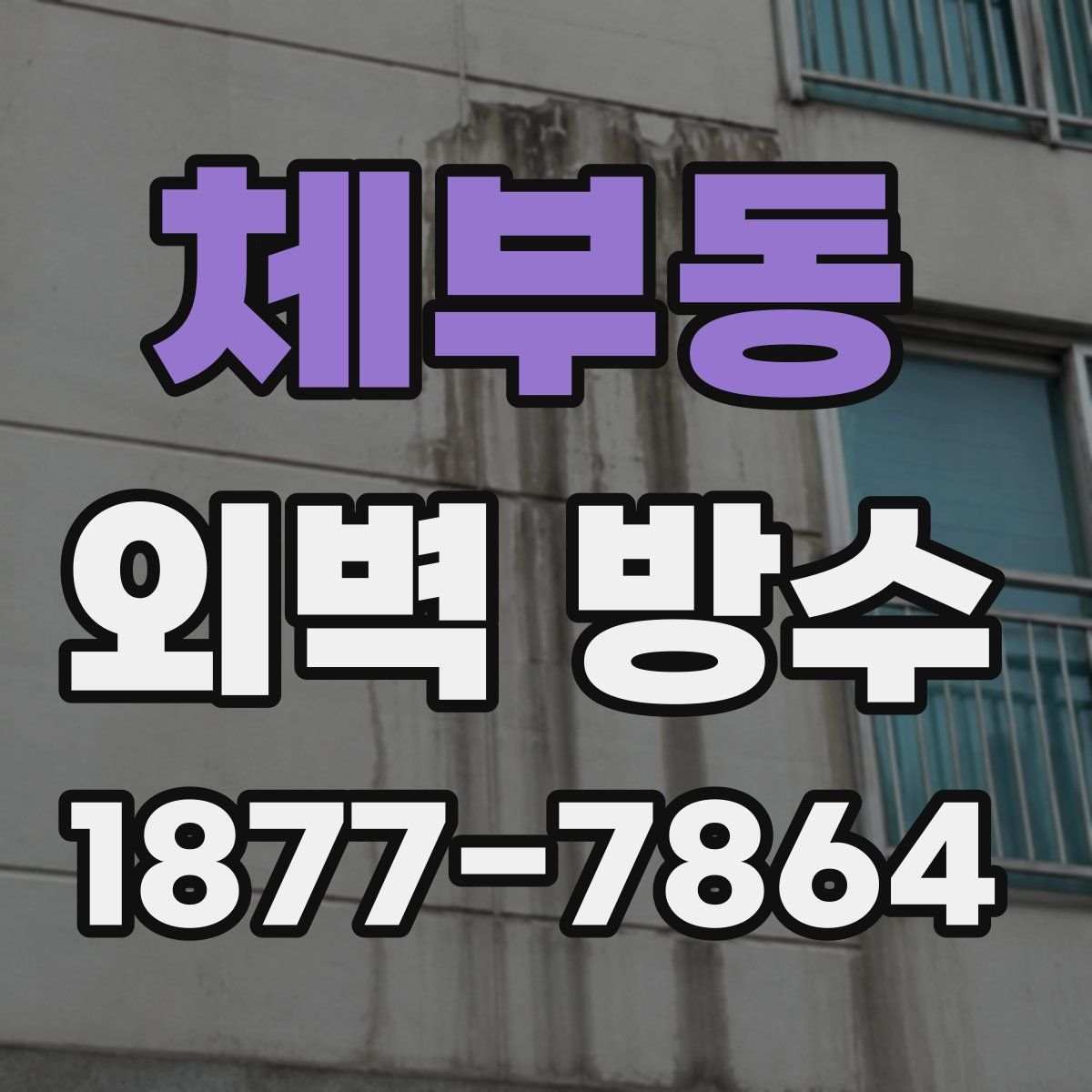 체부동 외벽 방수