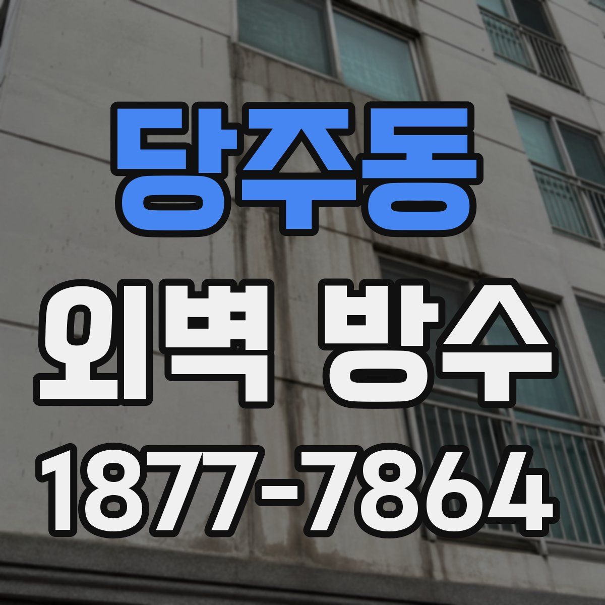 당주동 외벽 방수