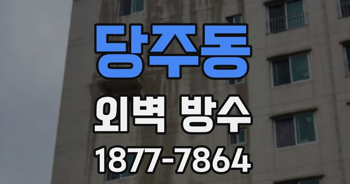 당주동 외벽 방수
