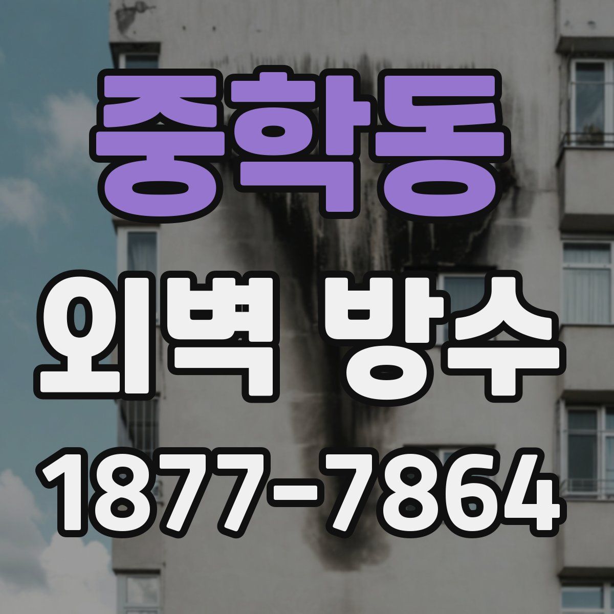 중학동 외벽 방수