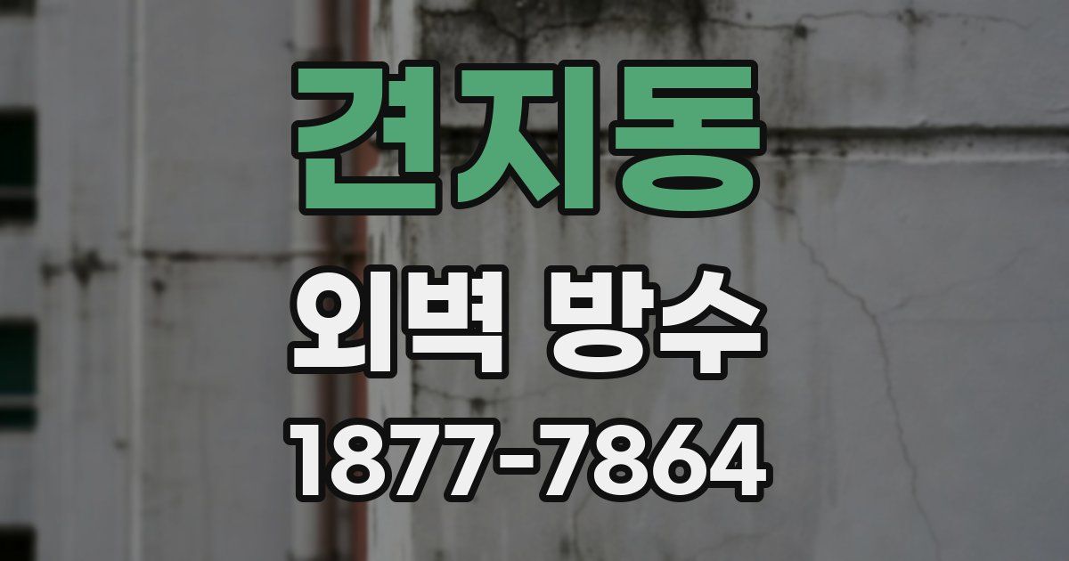 견지동 외벽 방수