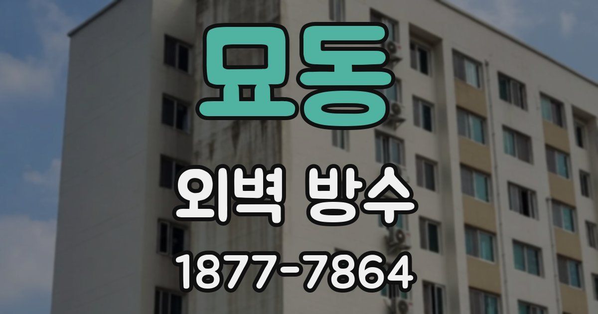 묘동 외벽 방수