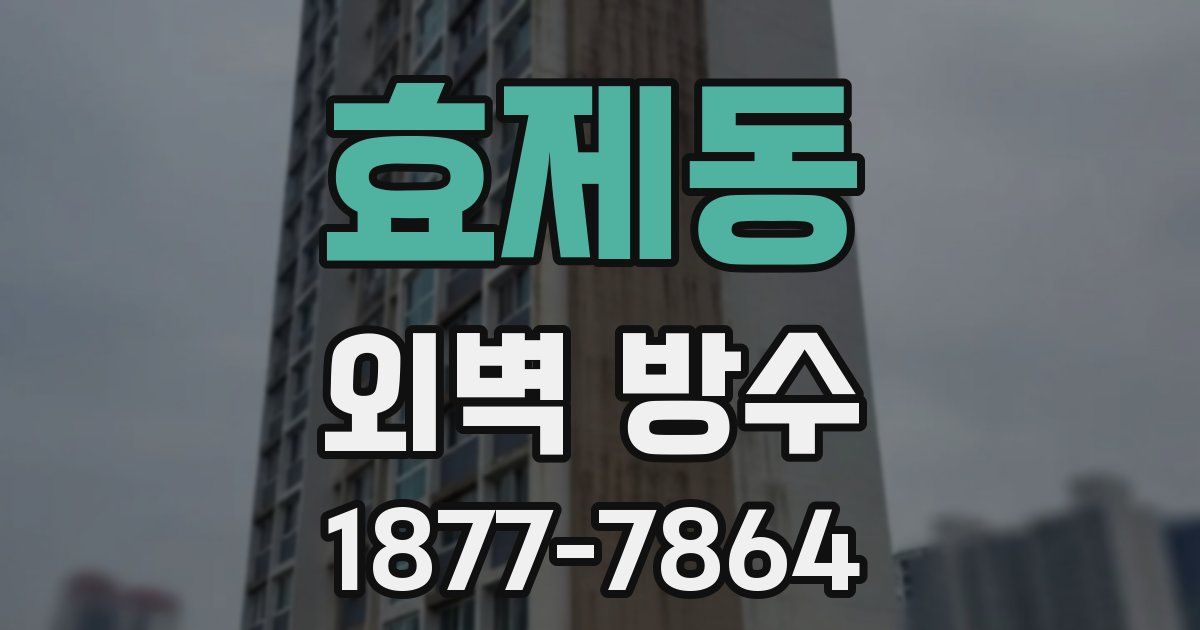 효제동 외벽 방수