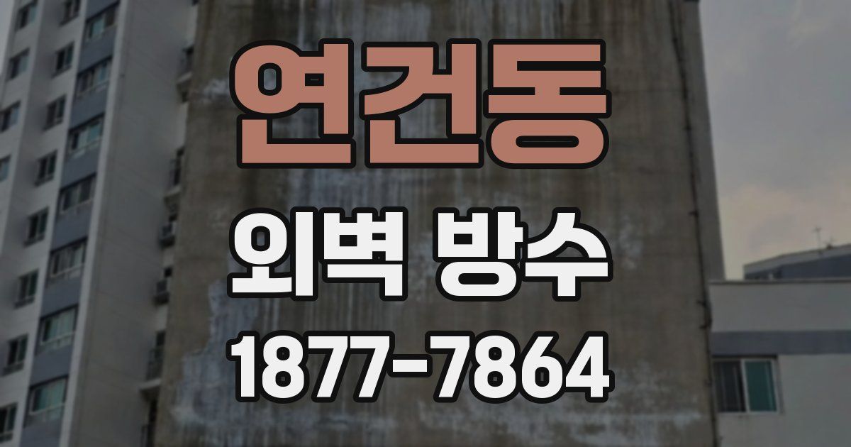연건동 외벽 방수